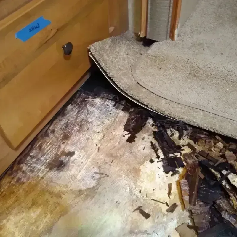 Wood Floor Water Damage in Conneaut, OH